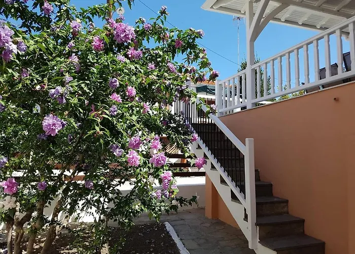 Vakantiehuis Le Patriko *